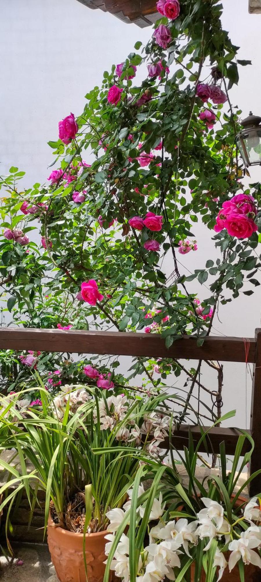 Mountain Breeze Sanctuary Villa Volos Luaran gambar