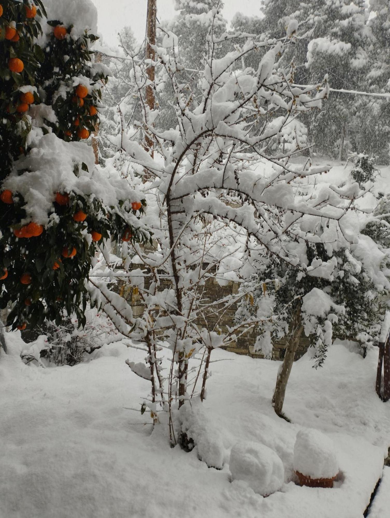 Mountain Breeze Sanctuary Villa Volos Luaran gambar